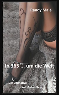 In 365 ... um die Welt - Randy Male - E-Book
