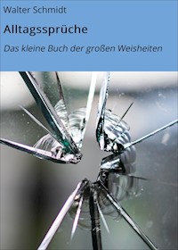 Alltagssprüche - Walter Schmidt - E-Book
