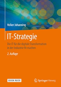 IT-Strategie - Volker Johanning - E-Book