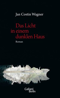 Das Licht in einem dunklen Haus - Jan Costin Wagner - E-Book