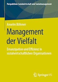 Management der Vielfalt - Anselm Böhmer - E-Book