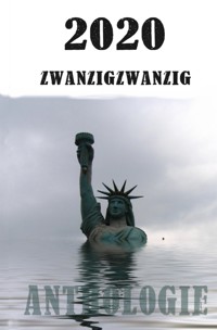 2020  zwanzigzwanzig - Levi Krongold - E-Book