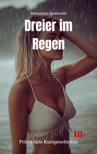 Dreier im Regen - Bernadette Binkowski - E-Book
