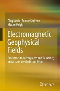 Electromagnetic Geophysical Fields - Oleg Novik - E-Book