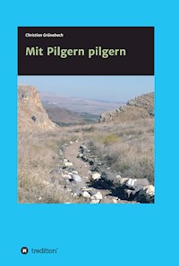Mit Pilgern pilgern - Christian Grünebach - E-Book