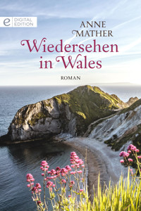 Wiedersehen in Wales - Anne Mather - E-Book