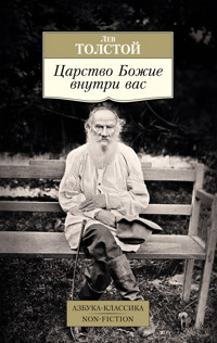 Царство Божие внутри вас - Lev Tolstoj - E-Book