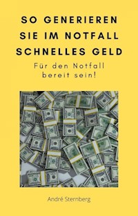 So generieren Sie im Notfall schnelles Geld - Andre Sternberg - E-Book