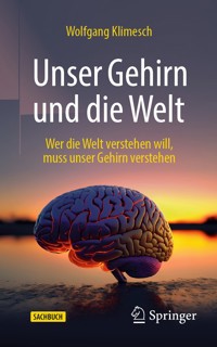 Unser Gehirn und die Welt - Wolfgang Klimesch - E-Book