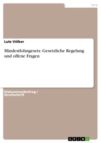 Mindestlohngesetz. Gesetzliche Regelung und offene Fragen - Lutz Völker - E-Book
