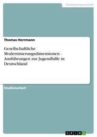 Gesellschaftliche Modernisierungsdimensionen - Ausführungen zur Jugendhilfe in Deutschland - Thomas Herrmann - E-Book