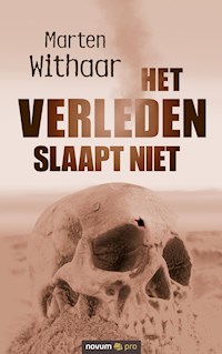 Het verleden slaapt niet - Marten Withaar - E-Book