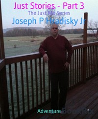 Just Stories - Part 3 - Joseph P Hradisky Jr - E-Book