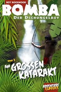 Bomba am großen Katarakt - Roy Rockwood - E-Book