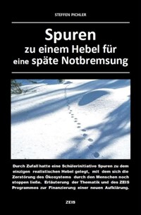 Spuren zu einem Hebel für eine späte Notbremsung - Steffen Pichler - E-Book