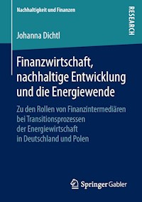 Finanzwirtschaft, nachhaltige Entwicklung und die Energiewende - Johanna Dichtl - E-Book