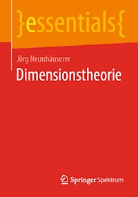 Dimensionstheorie - Jörg Neunhäuserer - E-Book