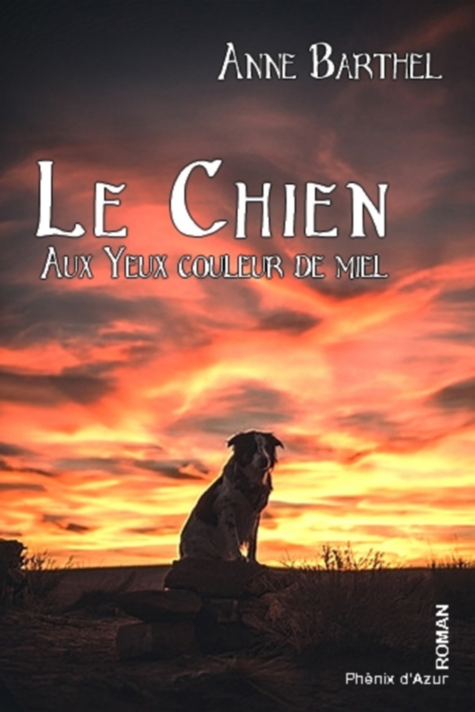 Le chien aux yeux couleur miel - BARTHEL - E-Book