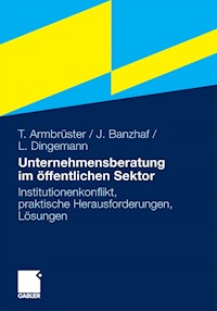 Unternehmensberatung im öffentlichen Sektor - Thomas Armbruster - E-Book