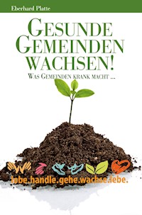 Gesunde Gemeinden wachsen - Eberhard Platte - E-Book