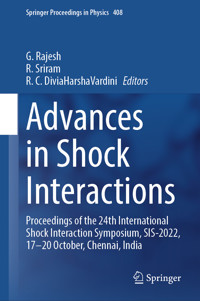 Advances in Shock Interactions -  - E-Book