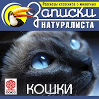 Кошки - Э. Сетон-Томпсон - Hörbuch