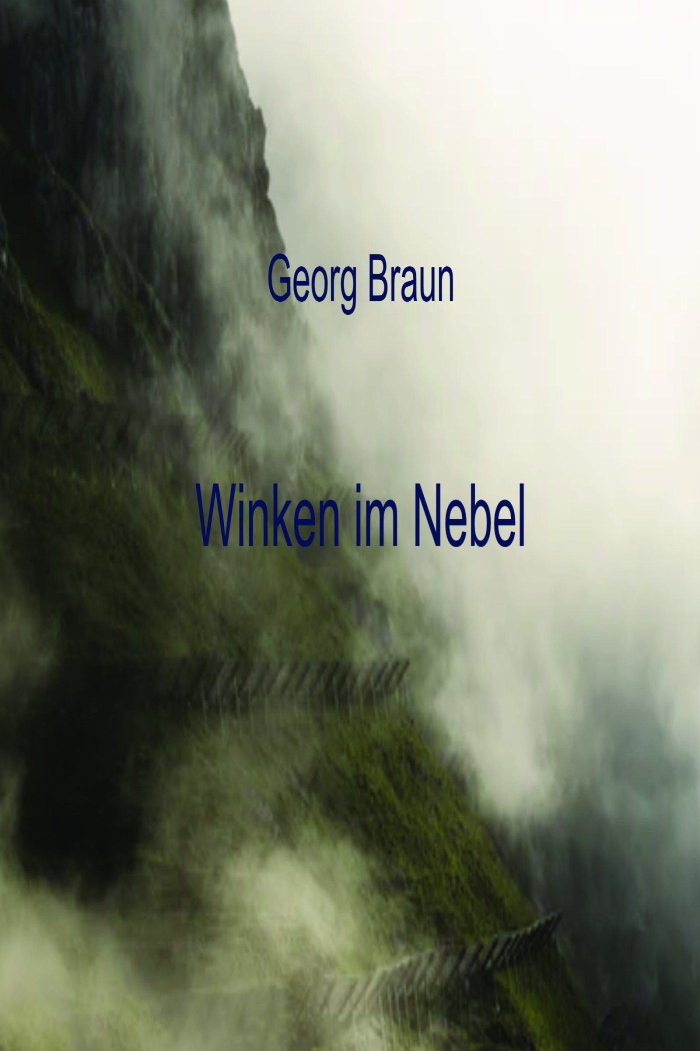 Winken im Nebel - Georg Braun - E-Book