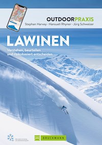 Lawinen - Stephan Harvey - E-Book