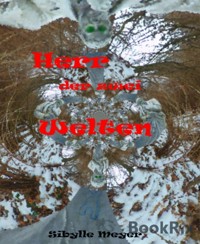 Herr der zwei Welten - Sibylle Meyer - E-Book