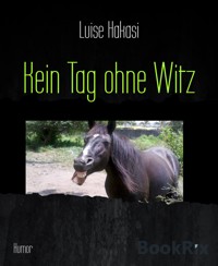 Kein Tag ohne Witz - Luise Hakasi - E-Book