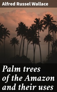 Palm trees of the Amazon and their uses - Alfred Russel Wallace - E-Book