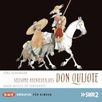 Seltsame Abenteuer des Don Quijote - Jörg Schubiger - Hörbuch