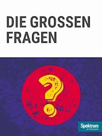 Gehirn&Geist Dossier - Die grossen Fragen - Spektrum der Wissenschaft - E-Book
