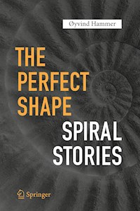 The Perfect Shape - Øyvind Hammer - E-Book