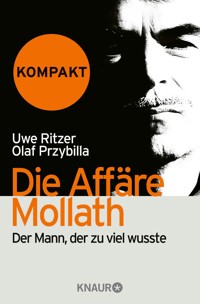 Die Affäre Mollath - kompakt - Uwe Ritzer - kostenlos E-Book