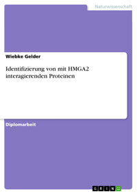 Identifizierung von mit HMGA2 interagierenden Proteinen - Wiebke Gelder - E-Book