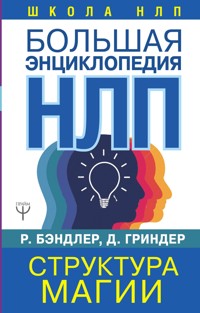 Большая энциклопедия НЛП. Структура магии - Джон Гриндер - E-Book