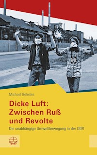Dicke Luft: Zwischen Ruß und Revolte - Michael Beleites - E-Book