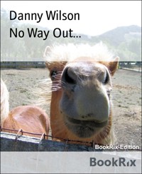 No Way Out... - Danny Wilson - E-Book