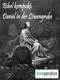 Daniel in der Löwengrube - Alessandro Dallmann - E-Book