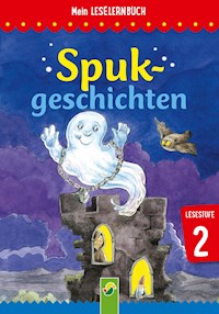 Spukgeschichten - Marion Clausen - E-Book
