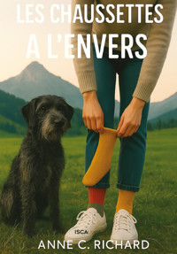 Les chaussettes à l'envers - Anne C. Richard - E-Book