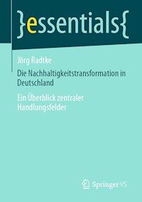 Die Nachhaltigkeitstransformation in Deutschland - Jörg Radtke - E-Book