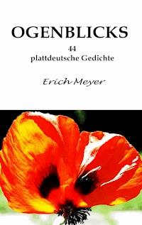 Ogenblicks - Erich Meyer - E-Book
