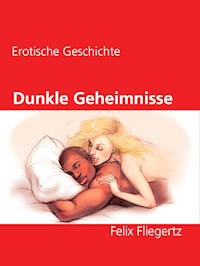 Dunkle Geheimnisse - Felix Fliegertz - E-Book