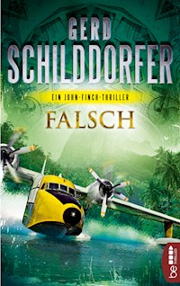 Falsch - Gerd Schilddorfer - E-Book