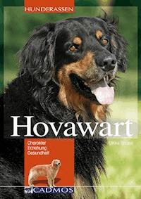 Hovawart - Ulrike Stickel - E-Book