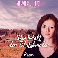 Der Pakt der Blutsbrüder - Werner J. Egli - Hörbuch