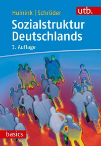 Sozialstruktur Deutschlands - Torsten Schröder - E-Book