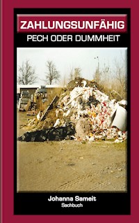 Zahlungsunfähig - Johanna Sameit - E-Book